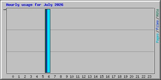 Hourly usage for July 2026