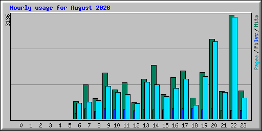 Hourly usage for August 2026